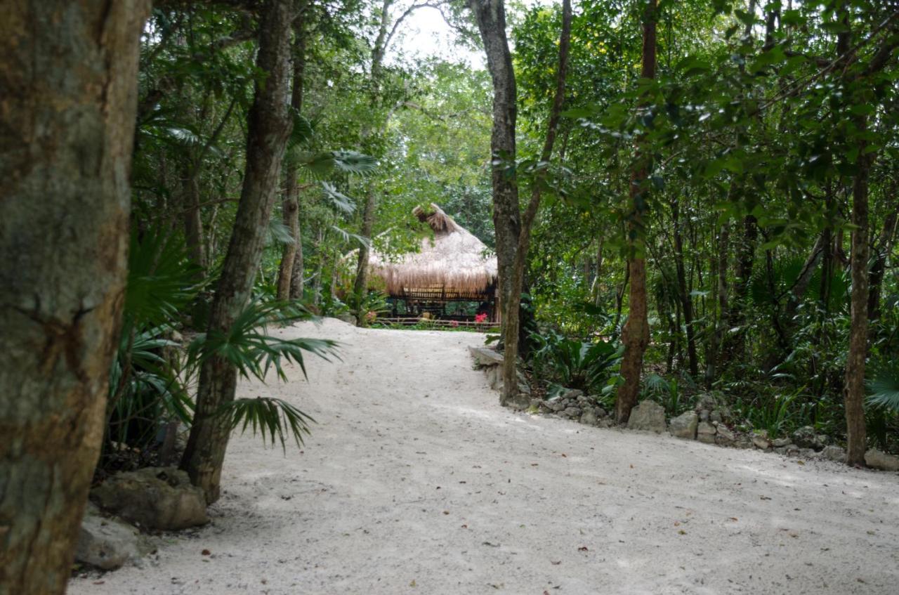 Rotamundos Mama Loomm Hotel Playa del Carmen Exterior photo