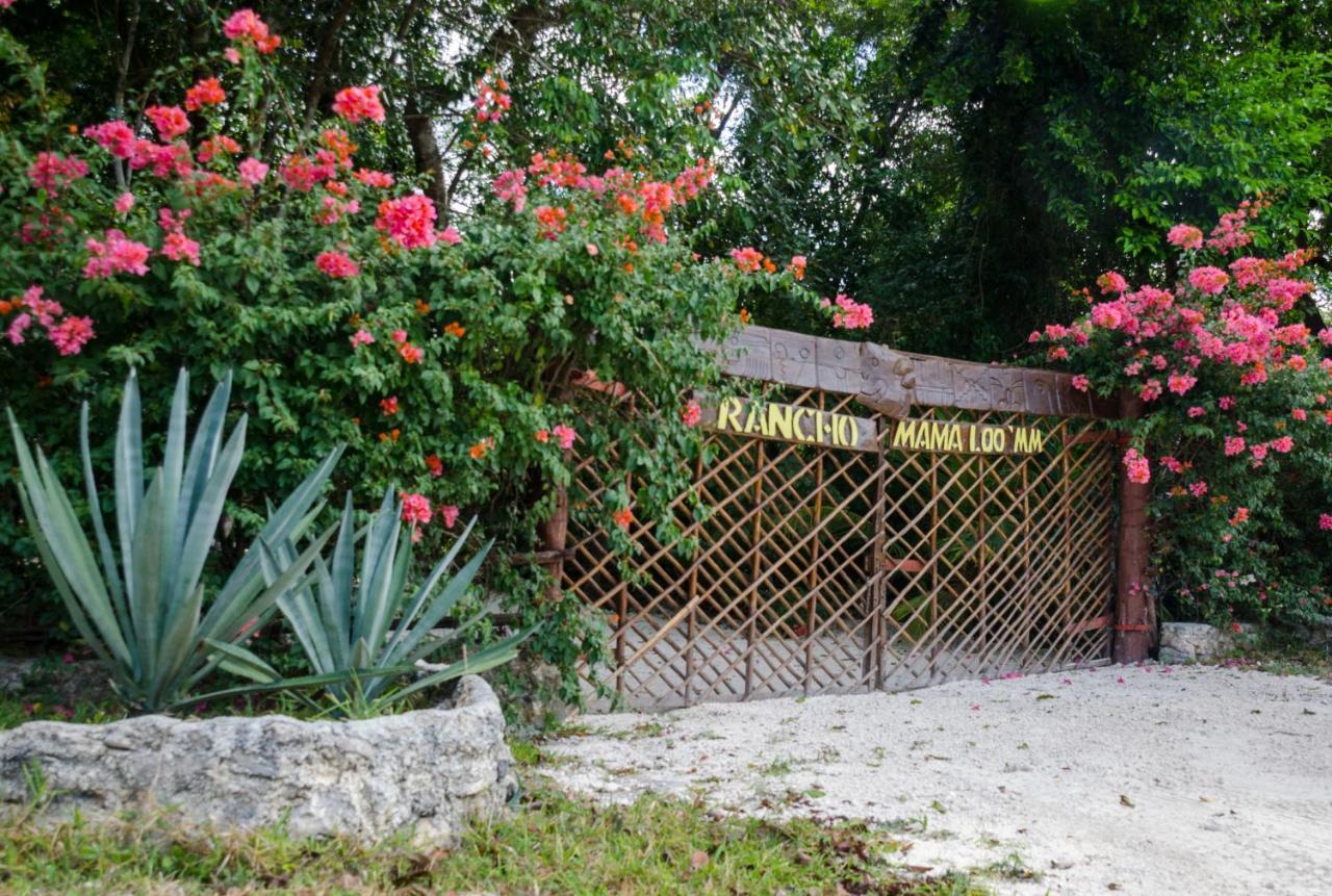Rotamundos Mama Loomm Hotel Playa del Carmen Exterior photo