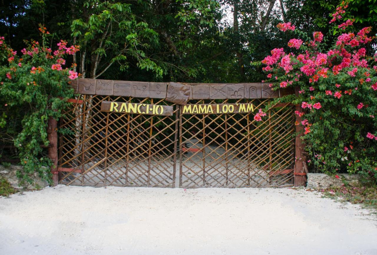 Rotamundos Mama Loomm Hotel Playa del Carmen Exterior photo